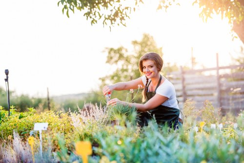 Garden design and build project planning for a Millhill home