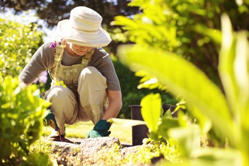 Millhill landscaping with planting and pathways