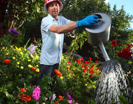 Patio and planting features in a Millhill garden transformation