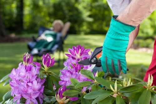 Fresh planting scheme for a Millhill outdoor area