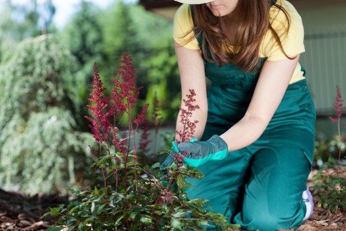 Outdoor paving materials and patio design options in Millhill