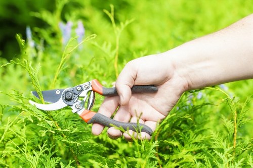 Customer concern being discussed for a landscaping service issue