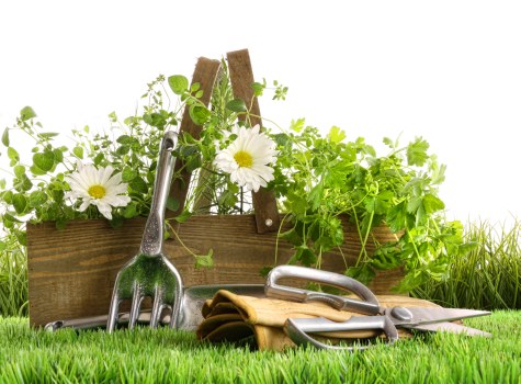 Reusable garden materials prepared for charity donation