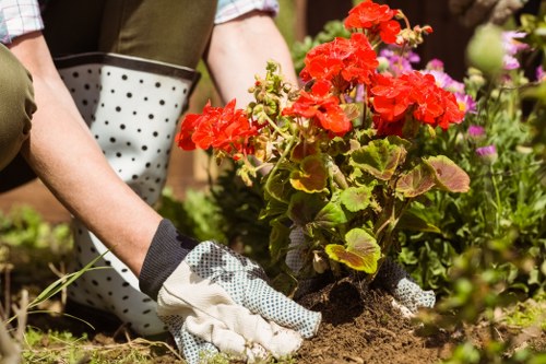 Soft landscaping and seasonal garden interest in Millhill