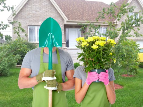 Quotation and booking paperwork for landscaping services