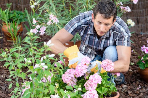 Mulch and cleanup project estimate based on cubic-yard pricing